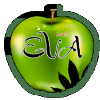 (Bild für) EVA Seeds