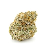 (Bild für) Forbidden Runtz Double XL Auto fem