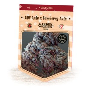 (Bild für) GDP Auto x Gumberry Auto fem