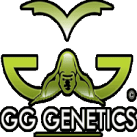 (Bild für) GG Genetics - Joesy Whales