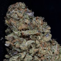 (Bild für) Gorilla Zkittlez fem