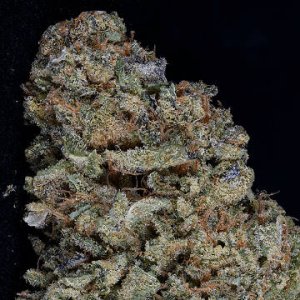 (Bild für) Gorilla Zkittlez fem