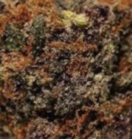 (Bild für) Grape Zkittlez 5 reg