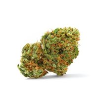 (Bild für) Grapefruit x Bubblegum Auto fem