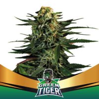 (Bild für) Green Tiger Faster