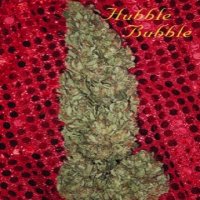 (Bild für) Hubble Bubble fem