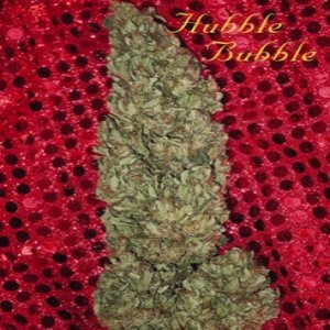(Bild für) Hubble Bubble fem