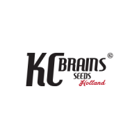 (Bild für) K.C. Brains