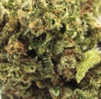 (Bild für) Key Lime Zkittlez 5 reg