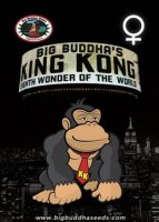 (Bild für) King Kong fem