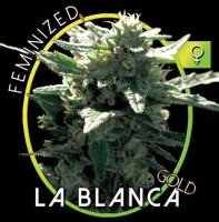 (Bild für) La Blanca Gold fem