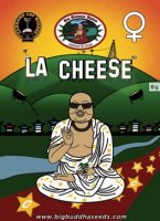 (Bild für) LA Cheese fem