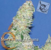 (Bild für) Afghana Mota Khan female