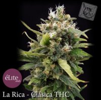 (Bild für) La Rica female