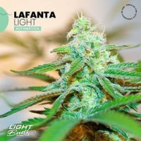 (Bild für) Lafanta Light Auto CBD