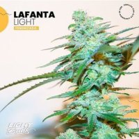 (Bild für) Lafanta Light CBD