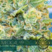 (Bild für) Medical 49 fem