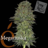 (Bild für) Meganuska female
