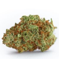 (Bild für) Monsterbud Auto fem