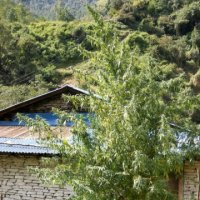 (Bild für) Nepal Annapurna
