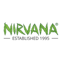 (Bild für) Nirvana Seeds