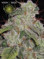 (Bild für) Northern Light Auto fem