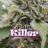 (Bild für) Painkiller female