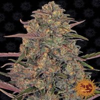 (Bild für) Pineapple Chunk