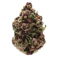 (Bild für) Pink Magic Fast fem