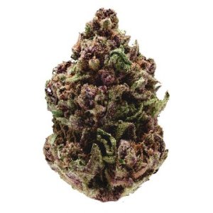 (Bild für) Pink Magic Fast fem