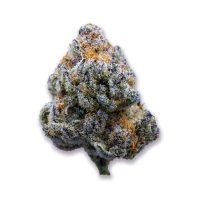 (Bild für) Platinum Mimosa Cookies fem