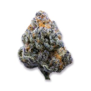 (Bild für) Platinum Mimosa Cookies fem