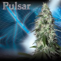 (Bild für) Pulsar fem