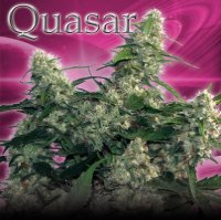 (Bild für) Quasar fem