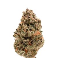 (Bild für) Rainbow Candy Auto fem