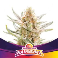 (Bild für) Rainbows