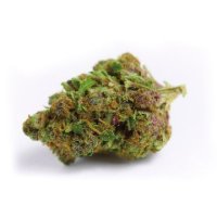 (Bild für) Red Banana Berry fem