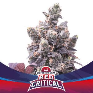 (Bild für) Red Critical Auto