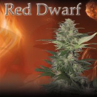 (Bild für) Red Dwarf Auto fem