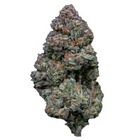 (Bild für) RS11 aka Rainbow Sherbert #11 fem