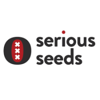 (Bild für) Serious Seeds Hanfsamen