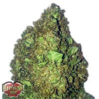 (Bild für) Short and Sweet Auto fem