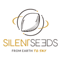 (Bild für) Silent Seeds - Dinafem 2.0