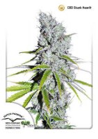 (Bild für) CBD Skunk Haze