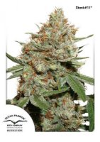 (Bild für) Skunk #1
