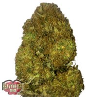 (Bild für) Skunky Monkey Auto fem