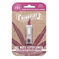 (Bild für) Sol Mate Auto