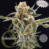 (Bild für) Solodiol Auto CBD female
