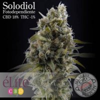 (Bild für) Solodiol CBD female