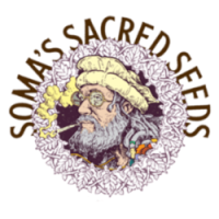 (Bild für) Soma Seeds